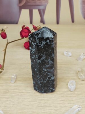 Prisme en merlinite - gabbro pierre de protection