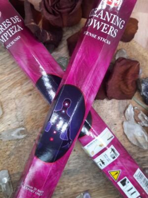 CLEANING POWERS - HEM - ENCENS