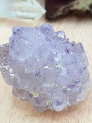 AMETHYSTE CACTUS AFRIQUE DU SUD