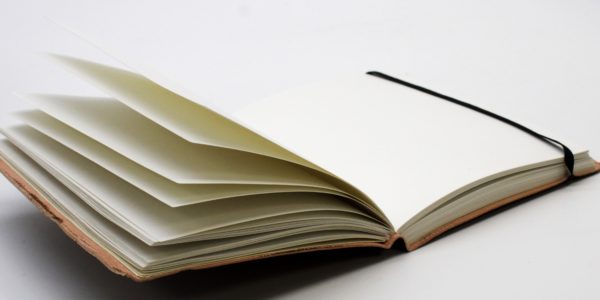 Journal intime végan