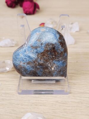 La passion de s'exprimer - coeur rubis sur cyanite