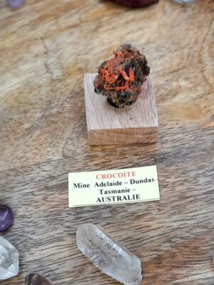 CROCOÏTE TASMANIE PIÈCE DE COLLECTION - MINE ADELAIDE - DUNDAS - TANZANIE