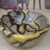 septaria et calcite vide poche