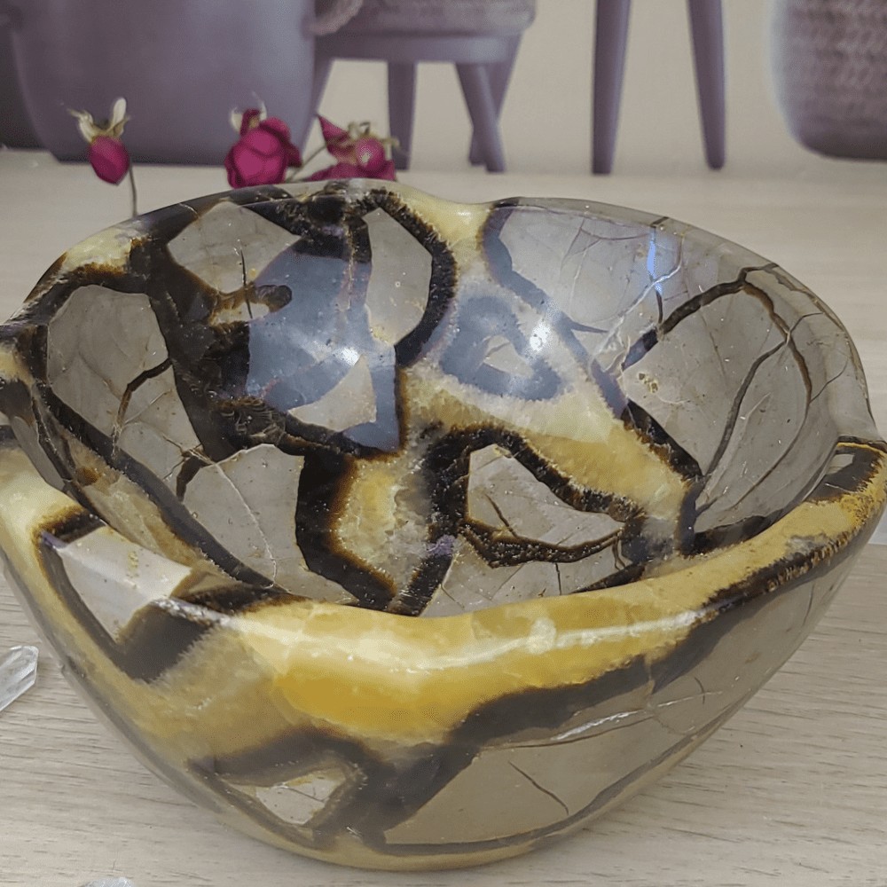 septaria et calcite vide poche