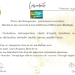Pierre des thérapeutes fiches
