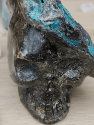 Crâne Chrysocolle et quatrz