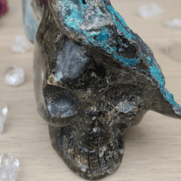 Crâne Chrysocolle et quatrz