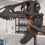 Reproduction dinosaures