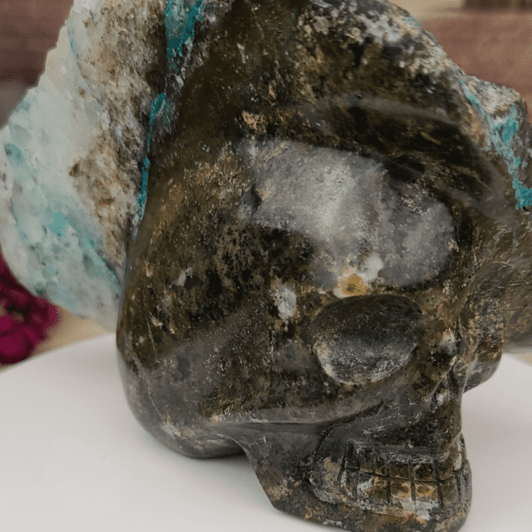 crâne chrysocolle - pièce artisanale originale