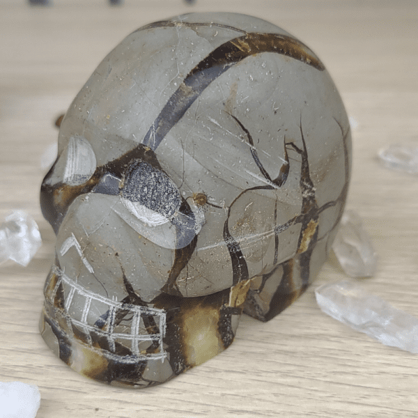 tête de mort crâne en pierre naturelle de septaria