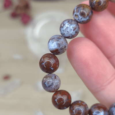 CORAIL AGATE CRAZY LACE - MEXIQUE - 8MM