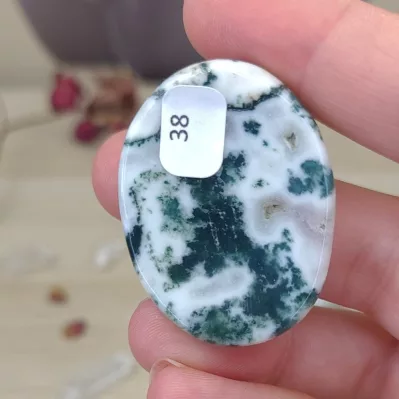 Agate-arbre-38-pierre-de-soucis