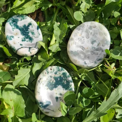 worry stone agate arbre