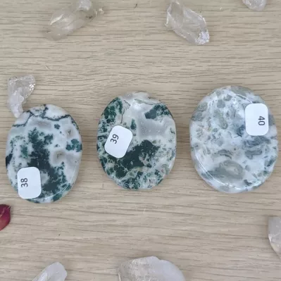 worry stone agate arbre
