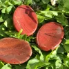 jaspe rouge galet anti stress