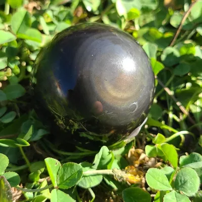 Cette pierre puissante, née des forces de la nature, arbore un regard éthéré dans ses profondeurs noires. L'Œil Céleste, symbole de vision intérieure, invite à plonger dans l'univers mystique de l'obsidienne. Laissez-vous captiver par son éclat astral et découvrez les secrets qu'elle détient