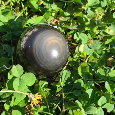 Cette pierre puissante, née des forces de la nature, arbore un regard éthéré dans ses profondeurs noires. L'Œil Céleste, symbole de vision intérieure, invite à plonger dans l'univers mystique de l'obsidienne. Laissez-vous captiver par son éclat astral et découvrez les secrets qu'elle détient