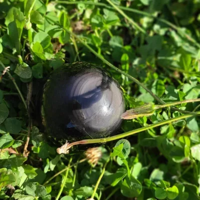 Obsidienne-sphere-oeil-céleste-Pierre-naturelle-de-protection-Mexique-95-