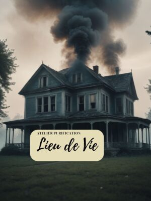 PURIFIER SON LIEU DE VIE - COURS EN LIGNE