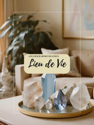 Atelier purification du lieu de vie