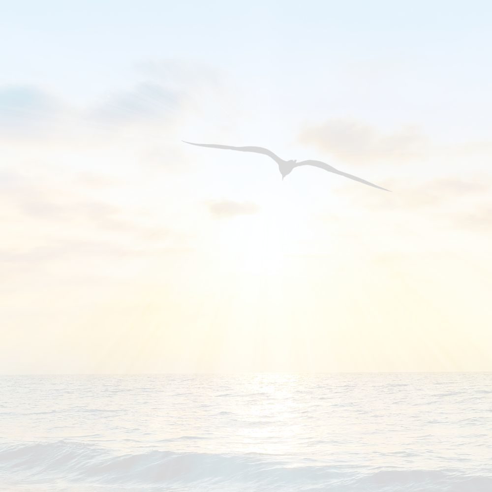 Prendre rendez vous en ligne séance de soin énergétiques et dégagement d'entité