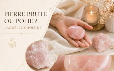 PIERRE ROULÉE OU BRUTE: laquelle choisir et comment les utiliser ?
