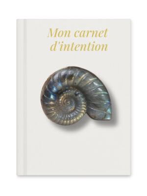 CARNET D'INTENTION - COUVERTURE RIGIDE - LABRADORITE
