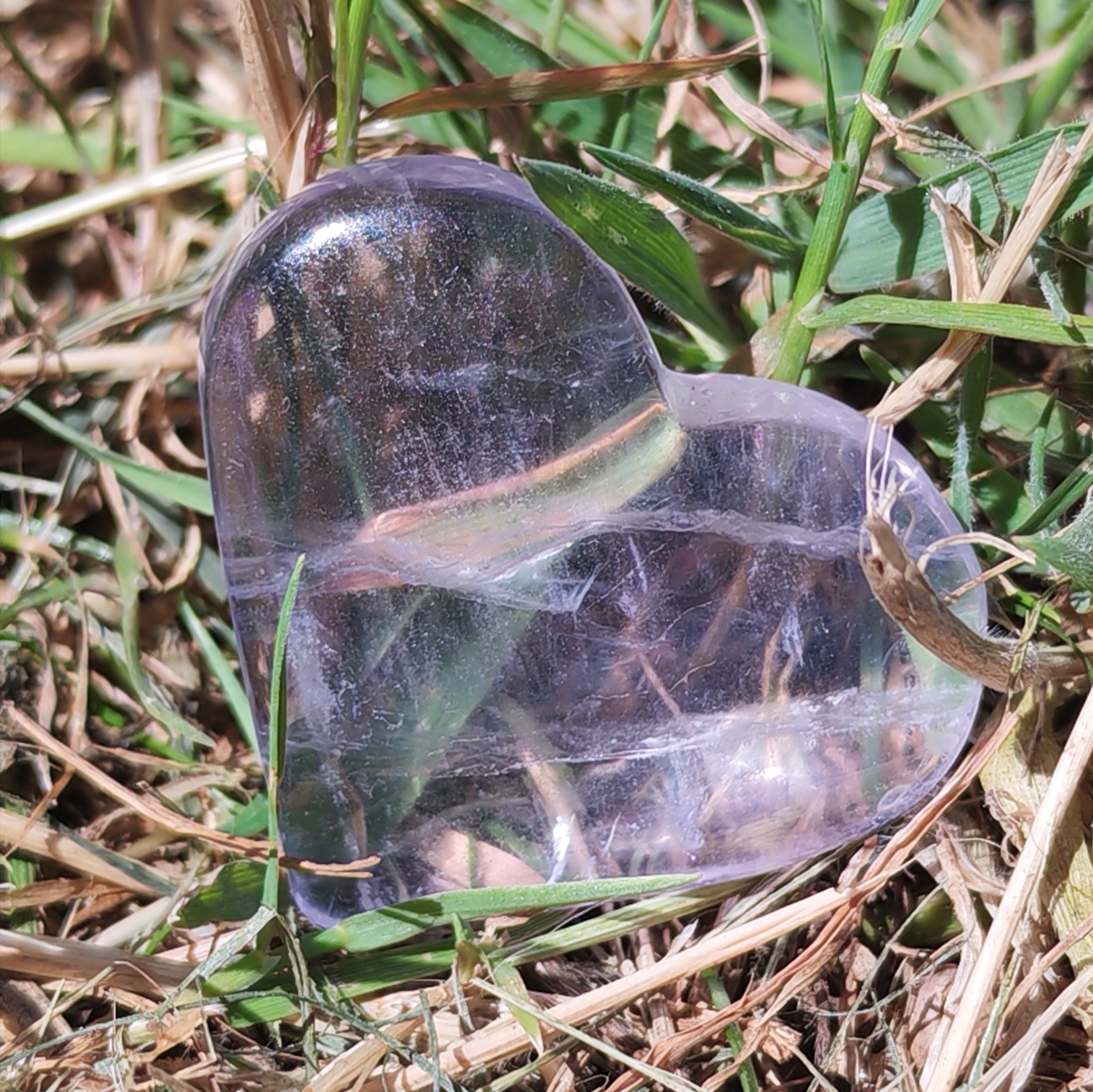 Courbure d’un cœur en fluorite bleue AA, finition brillante et nuances bleues., posé dans l herbe