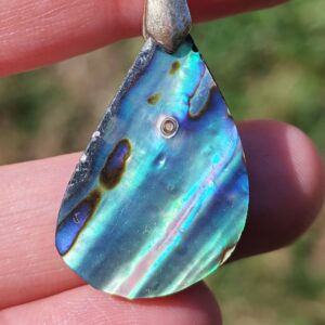 paua cabochon pendentif