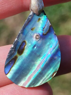 paua cabochon pendentif