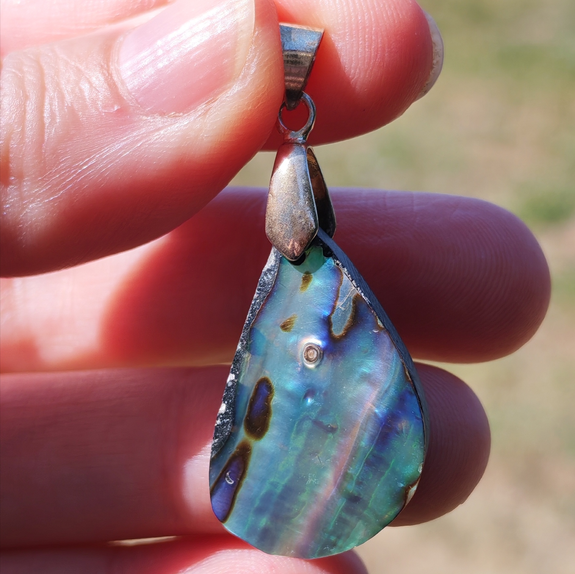 Cabochon paua-abalone percé vue d'ensemble