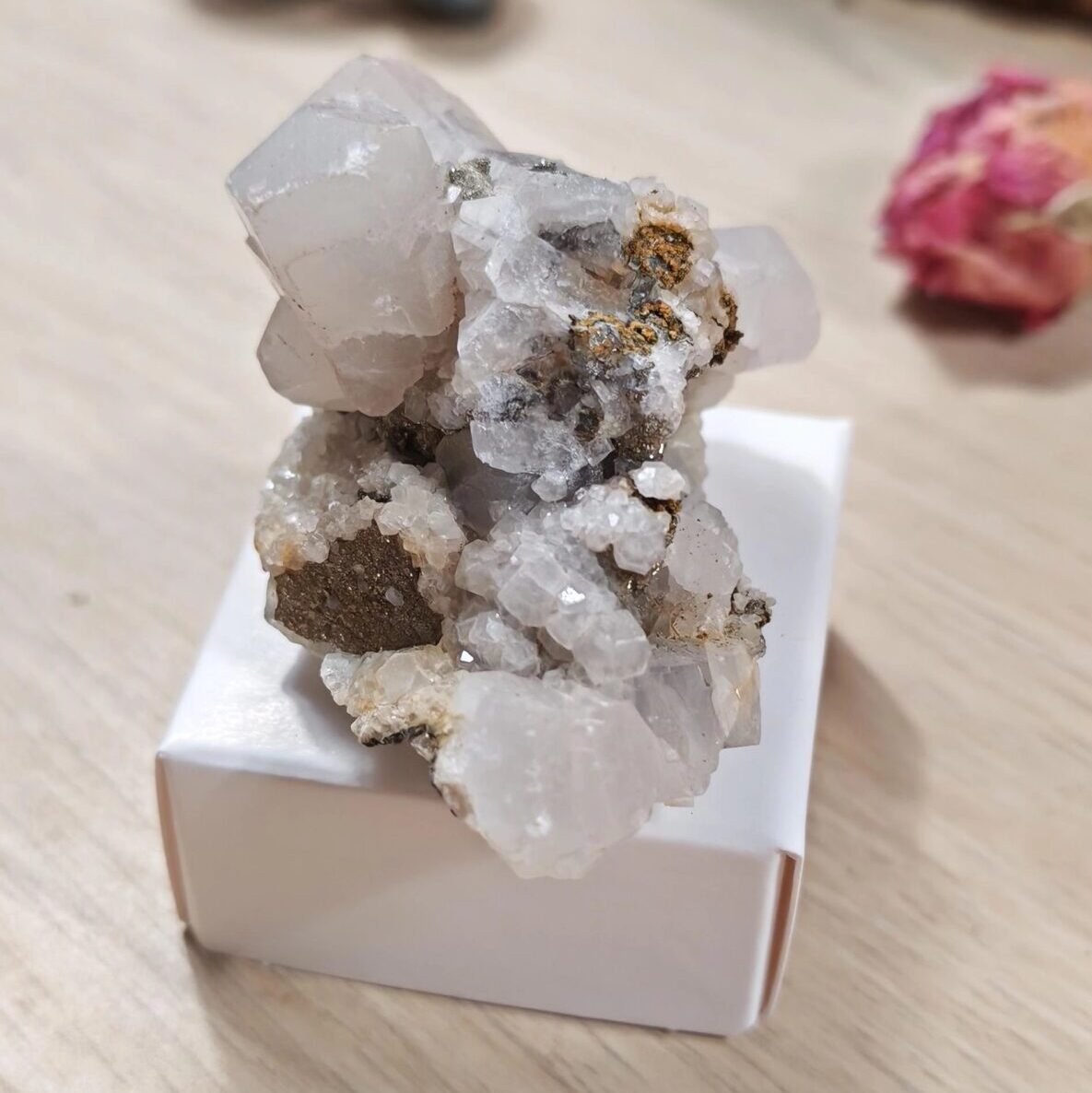vu d'ensemble présentation sur boite aragonite calcite pyrite brute El Hamman