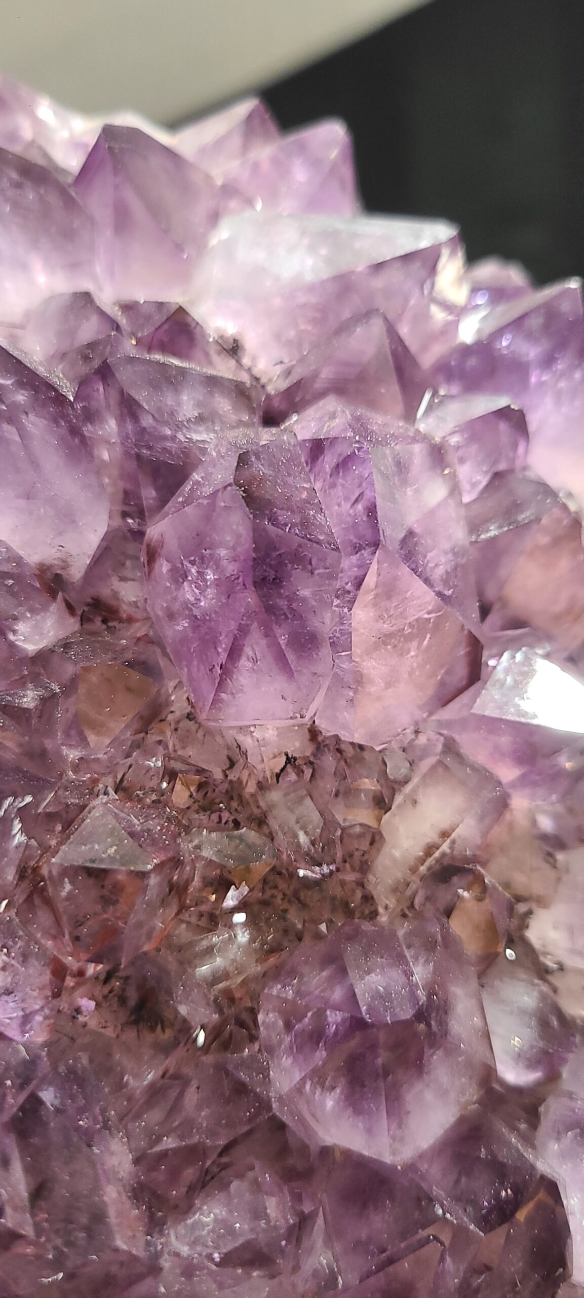 Géode d'améthyste du Brésil sur socle noir, avec de grosses pointes cristallines violettes, mauves et translucides.