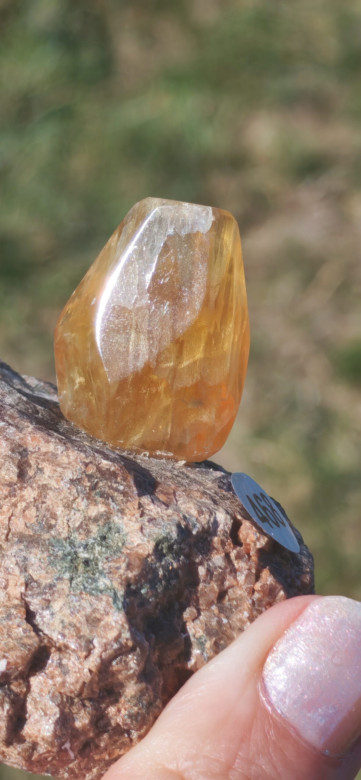 Fluorite jaune doré à surface brillante et reflets blancs, photographiée devant un fond de verdure