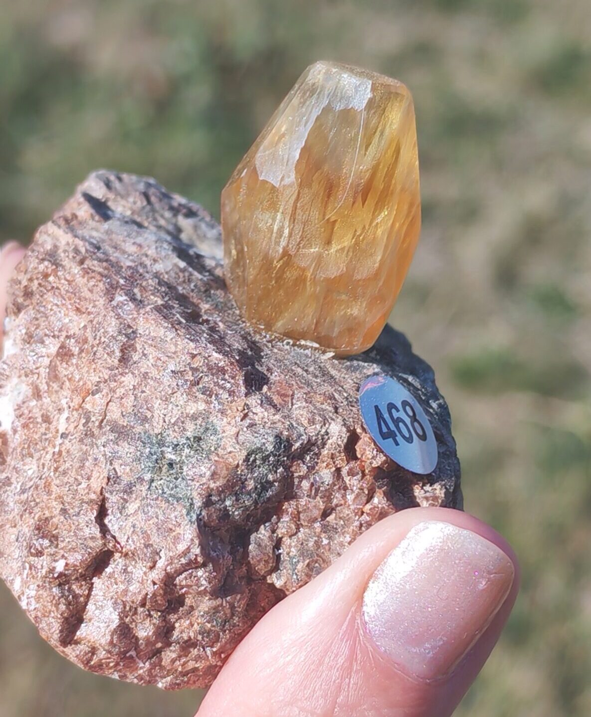 Fluorite jaune doré à face repolie sur une matrice brute rosée, avec la référence 468