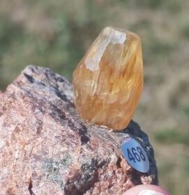 Fluorite jaune doré vue de profil sur une matrice brute rosée avec une étiquette portant la référence 468